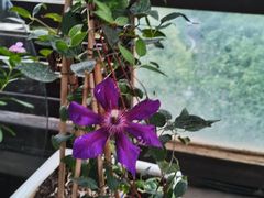 -阳光家常菜游客餐厅(千佛山店)