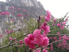 -南溪山景区