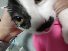 -佳雯宠物医院·皮肤科·内外科(春晓路分院)