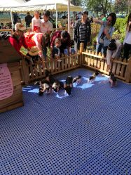 -萌宠亲子动物乐园(槐房万达店)