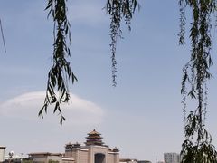 -莲花池公园