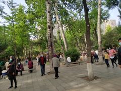 -莲湖公园