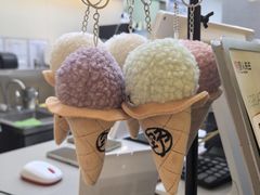 -野人先生现做冰淇淋(北京悠唐购物中心店)