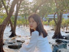 -宝安西湾红树林湿地公园