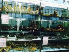 水产区-海岛渔村大酒店(云霄路店)