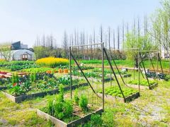 -长兴岛郊野公园农场食堂