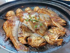 -食家鸽园