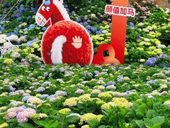 -天适樱花悠乐园