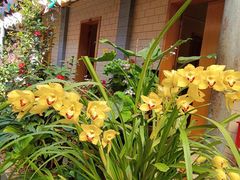 -阳光山水江湖菜馆(西山龙门店)
