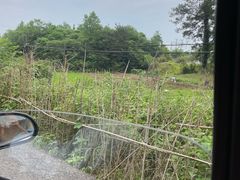 -西溪南古村落