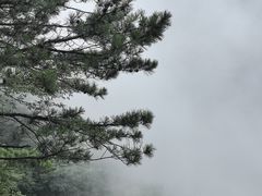 -庐山风景区花径公园