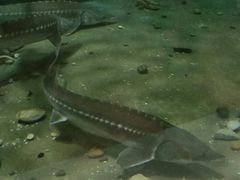 -福州罗源湾海洋世界旅游区