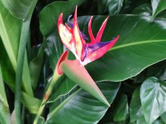 -秦美花卉(天朗·莱茵小城2期店)