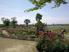 -武汉紫薇都市田园