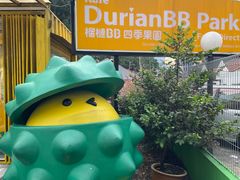 -榴莲BB 四季果园