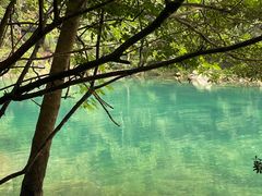 -石台牯牛降景区