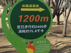 -太阳宫公园