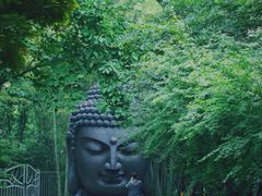 -杭州植物园