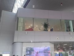 -合肥新桥国际机场-航站楼