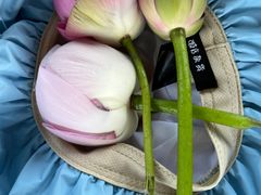 -荷塘月色湿地公园·向阳花洲
