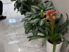 大堂-中国工商银行(上海市上钢新村支行)