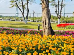 -芒洲湿地公园