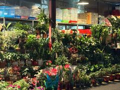 -金田水族花卉市场(银庄大厦店)