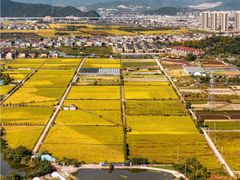 -杭州宋城