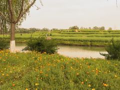 -乌村