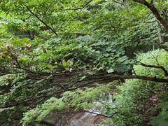 -庐山风景区花径公园