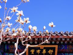 -颐和园
