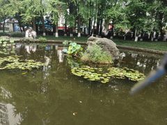 -温江公园
