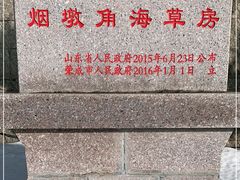 -烟墩角天鹅湖