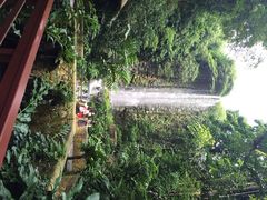 iphone_upload_pic-新加坡飞禽公园