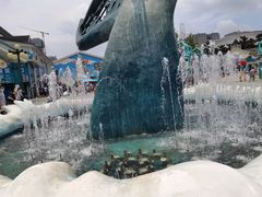 -海合安成都极地海洋公园