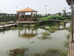 -同銮特种养殖场·龙虾垂钓