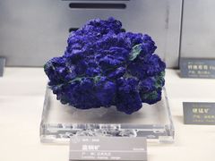 -中国地质博物馆