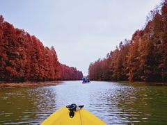 -上海海湾国家森林公园