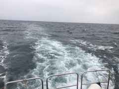 -大梅沙游艇度假酒店