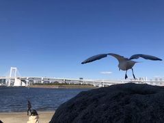 -台场海滨公园船码头