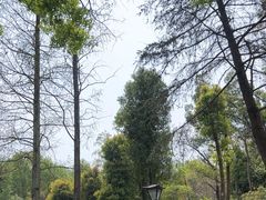 -青龙山国家森林公园