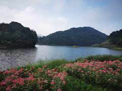-广州市石门国家森林公园