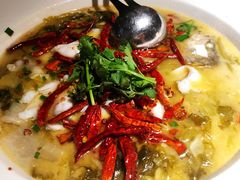 招牌酸菜鱼-渔见·精品川菜·老坛酸菜鱼(大朗店)