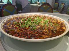 -新概念来凤鱼(璧山店)