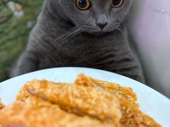 -沈阳铁西万象汇