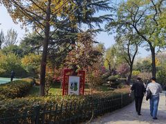 -莲湖公园