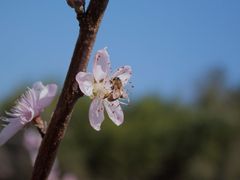 -花溪风景区