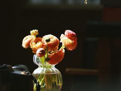 -点绛唇(鼓楼店)