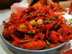 -杨氏青龙虾·羊蝎子(托乐嘉店)