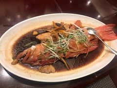 -万家宴海鲜大酒楼(五四路店)